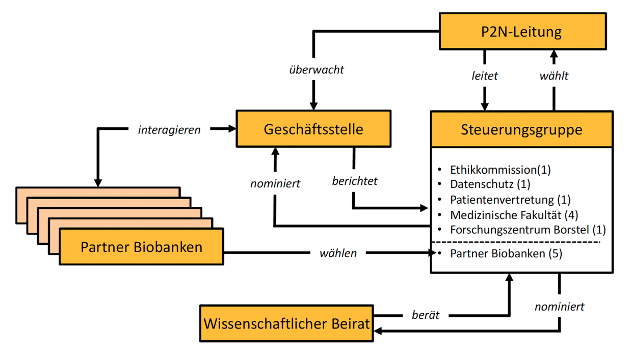 P2N Struktur2 P2N Struktur2