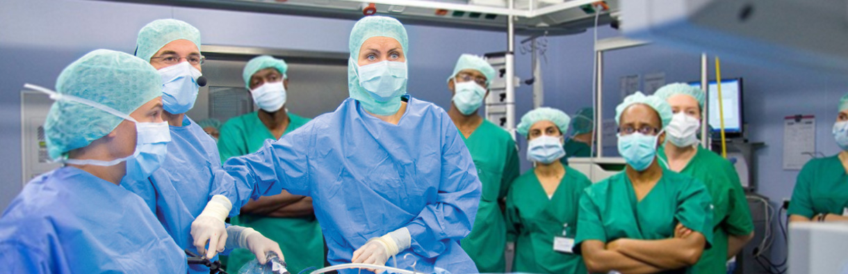 Header_Kiel_school_1240x400