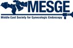 logo_mesge_150