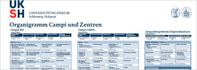 Organigramm - Campi und Zentren